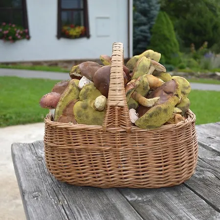 Pod Klepacem * Králíky