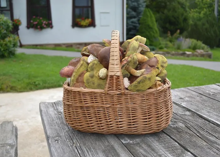 Pod Klepacem * Králíky